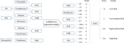 A Novel Inflammatory-Nutritional Prognostic Scoring System for Stage III Gastric Cancer Patients With Radical Gastrectomy Followed by Adjuvant Chemotherapy